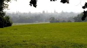 City View From A Field