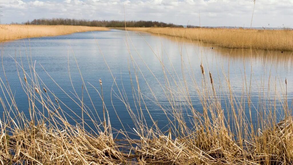 Off-Site Biodiversity Net Gain Solutions: