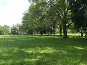 Want to Sell Biodiversity Units? What Land Managers Need to Know