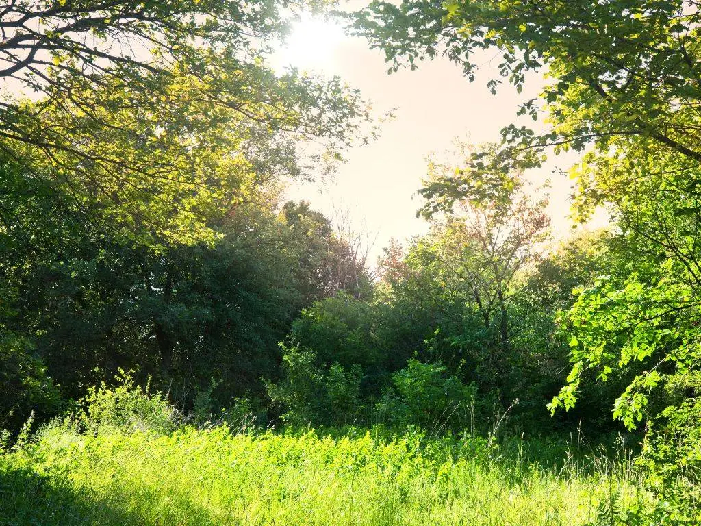 Grassland BNG Units for Sale What Developers Need to Know