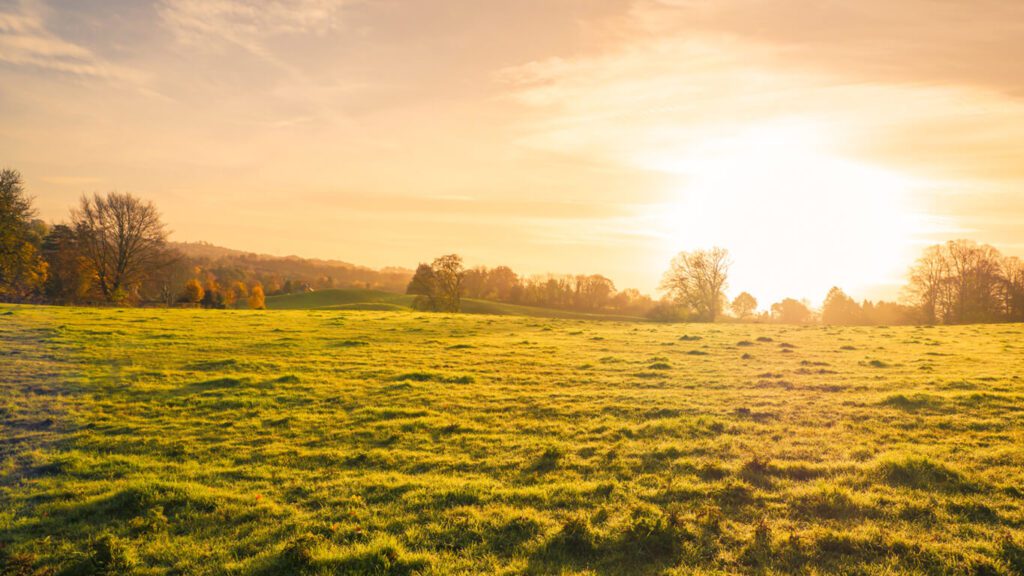 How Developers Are Meeting the Requirement