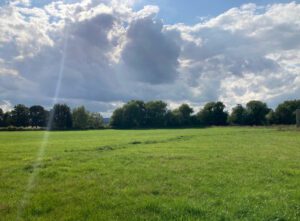 How to Buy BNG Unit A Step by Step Guides