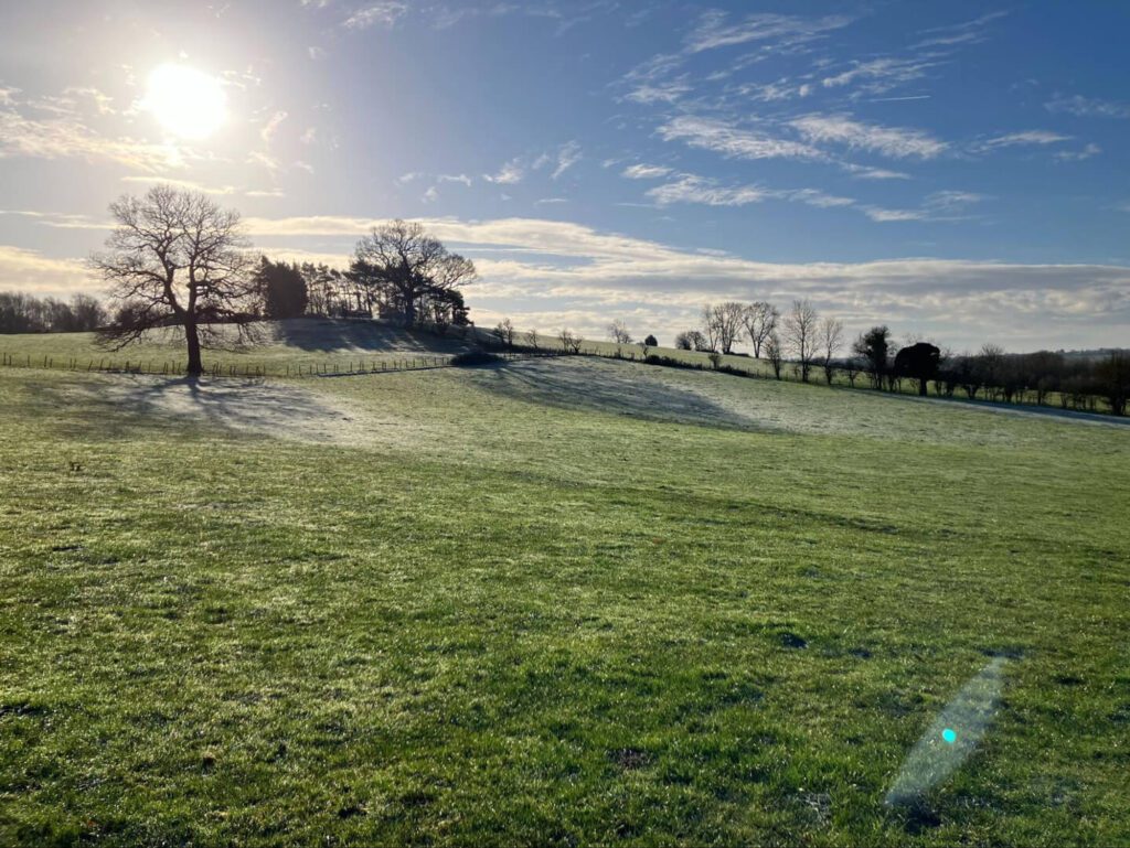 Is Your Site Eligible For A BNG Exemption