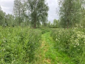 The UKs BNG Legislation