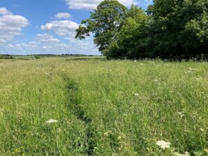 Biodiversity net gain benefits