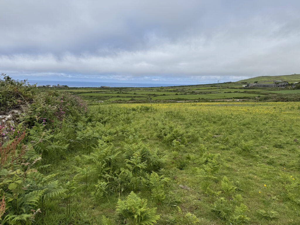 Bng Unit For Sale Higher Keigwin Farm