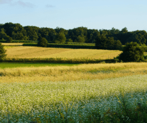 Landowners Leverage (1)