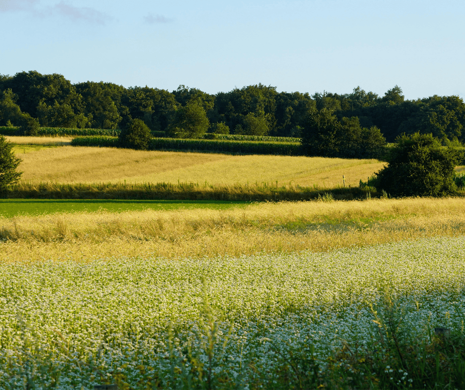 Landowners Leverage (1)