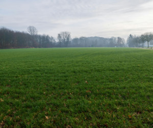 Ecological Assessments for BNG Units