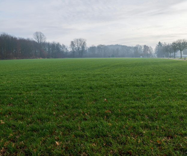 Ecological Assessments for BNG Units