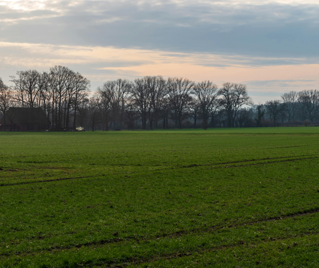 How Biodiversity Net Gain Works