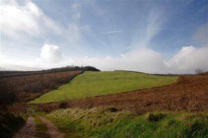 Ecology Consultancy Helps Secure Planning Permission and Biodiversity Net Gain