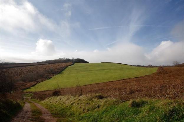 Ecology Consultancy Helps Secure Planning Permission and Biodiversity Net Gain