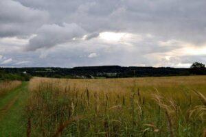Navigate Biodiversity Net Gain Trading Rules for Planning Success