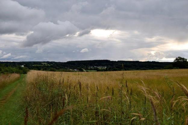Navigate Biodiversity Net Gain Trading Rules for Planning Success