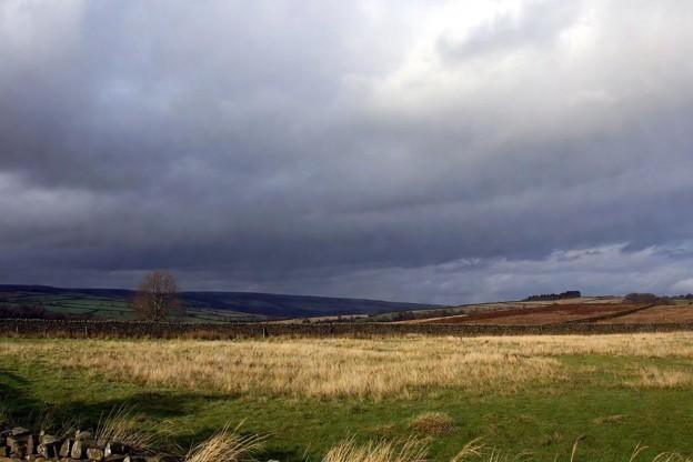 Biodiversity Net Gain Planning Consultant