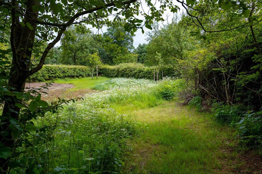 Can a Biodiversity Gain Plan Be Amended After Approval?