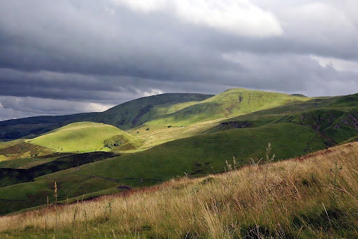 How Biodiversity Net Gain Is Calculated Using the DEFRA Metric