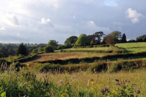 Could Your Land Be Worth More Through Biodiversity Net Gain?